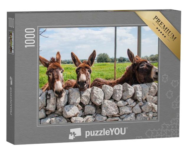 Puzzle de 1000 pièces « Les ânes regardent à travers un mur de pierre, Modica »