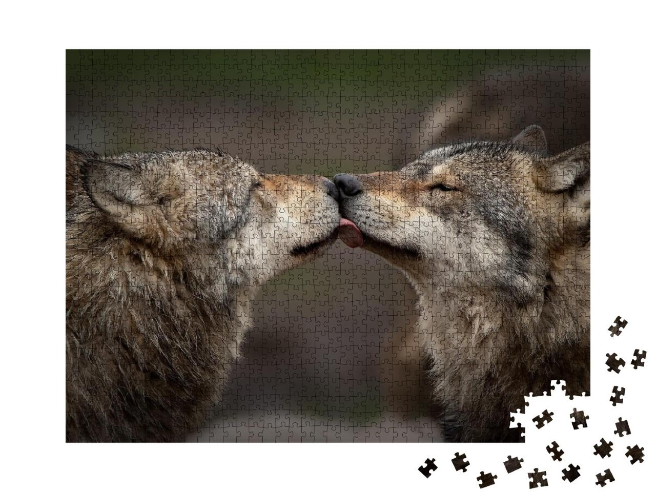 Puzzle de 1000 pièces « La confiance entre les loups »