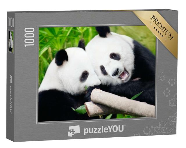 Puzzle de 1000 pièces « Pandas géants consommant des pousses de bambou »