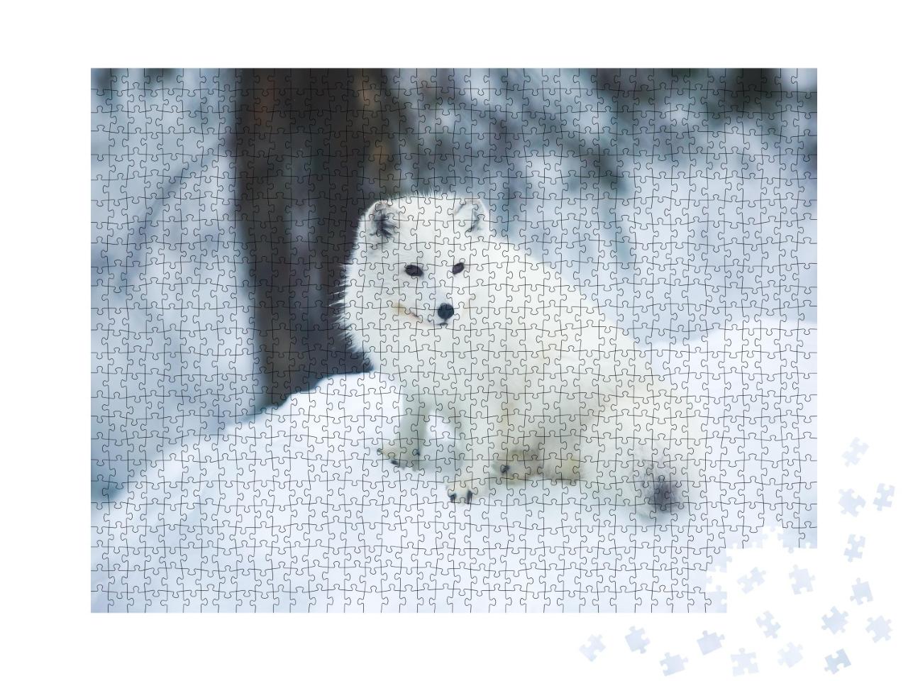Puzzle de 1000 pièces « Gros plan sur un renard arctique en Finlande »