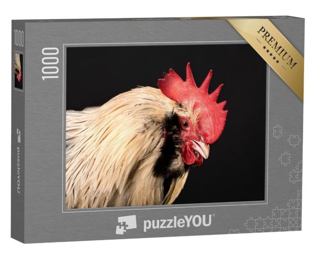 Puzzle de 1000 pièces « Gros plan : coq »