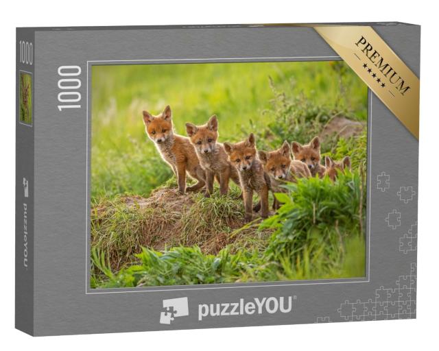 Puzzle de 1000 pièces « De petits renards roux curieux explorent le monde »