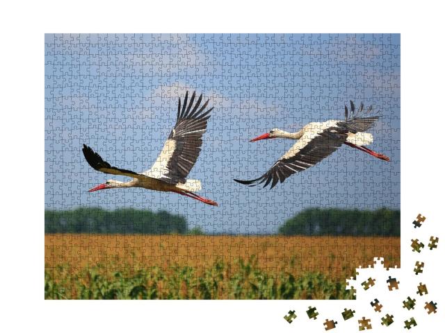 Puzzle de 1000 pièces « Deux cigognes survolent un champ »