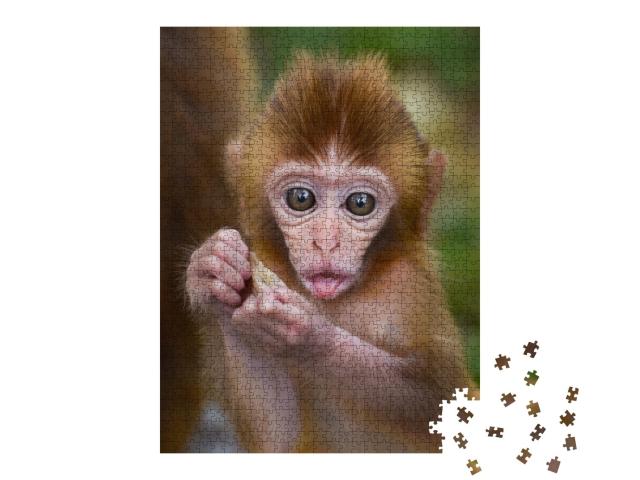 Puzzle de 1000 pièces « Un bébé singe mangeant dans la forêt »
