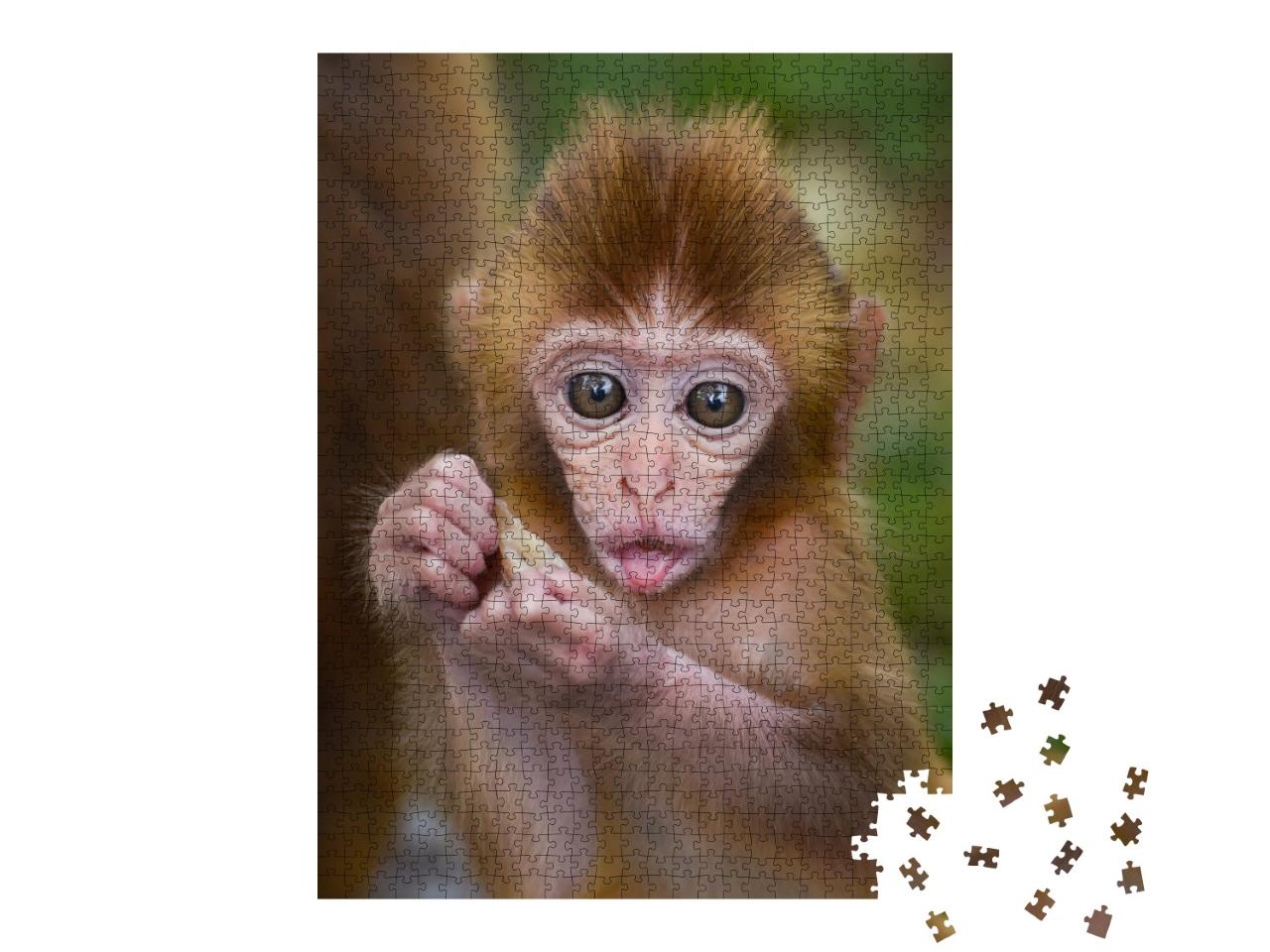 Puzzle de 1000 pièces « Un bébé singe mangeant dans la forêt »