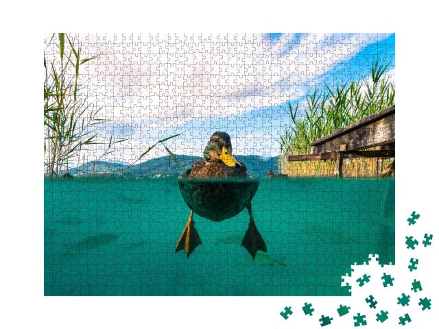Puzzle de 1000 pièces « Image sous-marine d'un canard, Autriche »