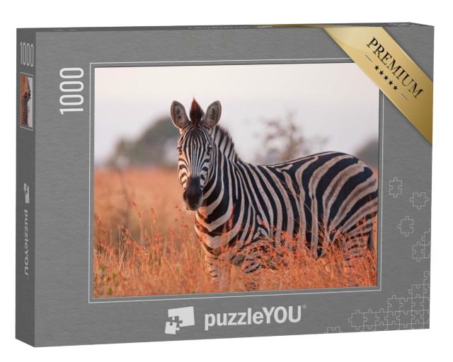 Puzzle de 1000 pièces « Un zèbre des steppes : Equus quagga dans le parc national de Kruger en Afrique du Sud »