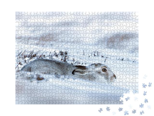 Puzzle de 1000 pièces « Un lièvre variable couché dans la neige »