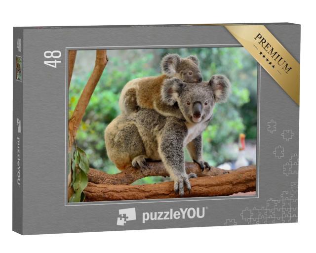 Puzzle de 48 pièces « Mère koala avec bébé sur le dos sur un eucalyptus »
