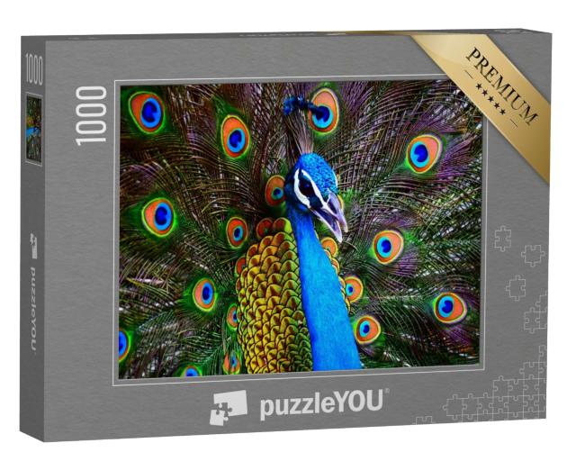 Puzzle de 1000 pièces « Portrait d'un paon dansant multicolore »