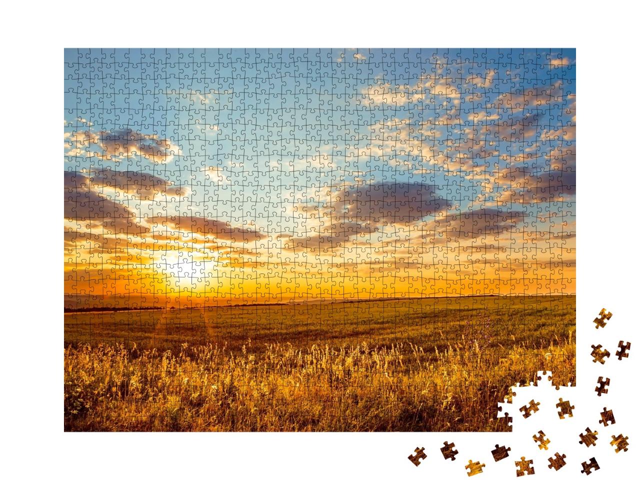 Puzzle de 1000 pièces « L'aube dorée sur des champs sans fin »