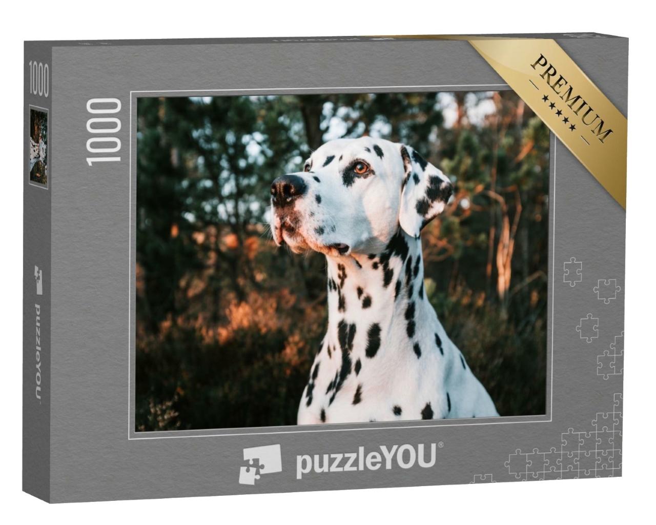 Puzzle de 1000 pièces « Un dalmatien au coucher du soleil »