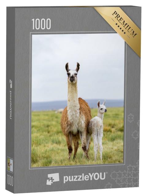 Puzzle de 1000 pièces « Lama avec bébé sur l'Altiplano en Bolivie »
