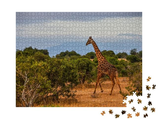 Puzzle de 1000 pièces « Girafe au milieu de la savane kényane »