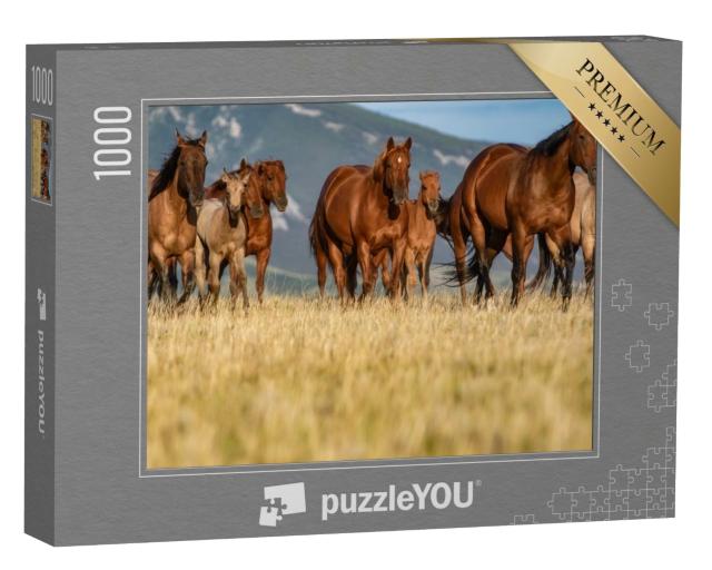 Puzzle de 1000 pièces « Troupeau de Quarter Horse sur une plaine herbeuse devant les Pryor Mountains, Montana »