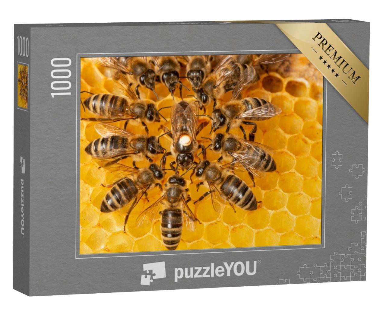 Puzzle de 1000 pièces « Reine des abeilles entourée d'ouvrières »