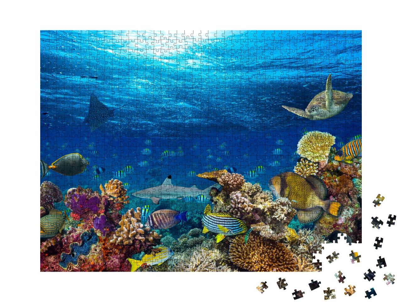 Puzzle de 1000 pièces « Océan bleu et monde sous-marin multicolore »