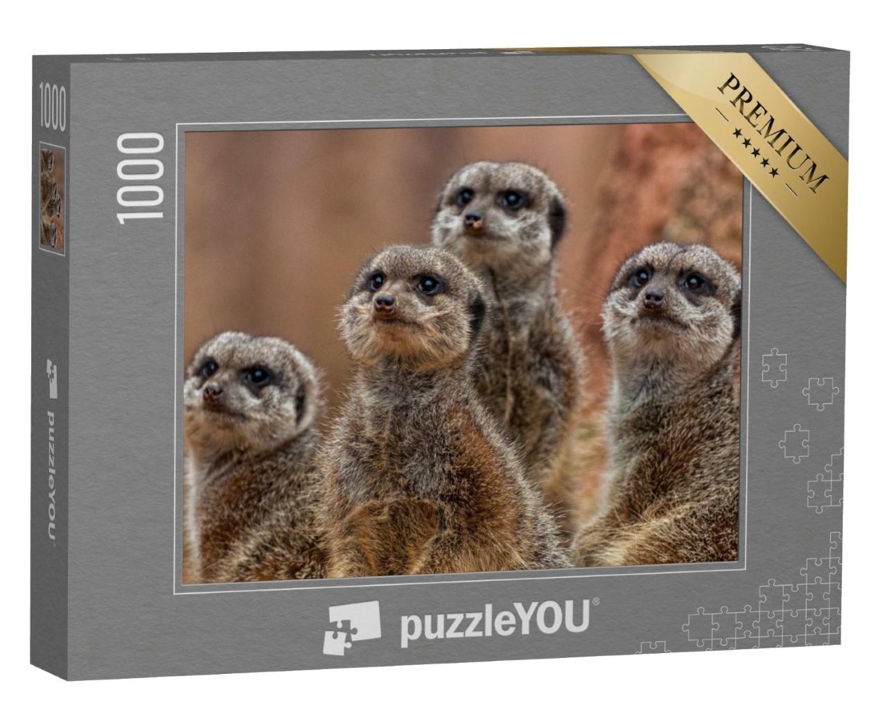 Puzzle de 1000 pièces « Un groupe d'adorables suricates »
