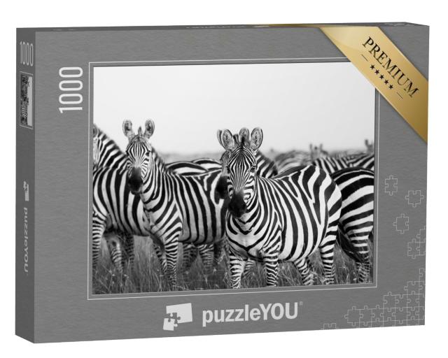 Puzzle de 1000 pièces « Troupeau de zèbres au Masai Mara »