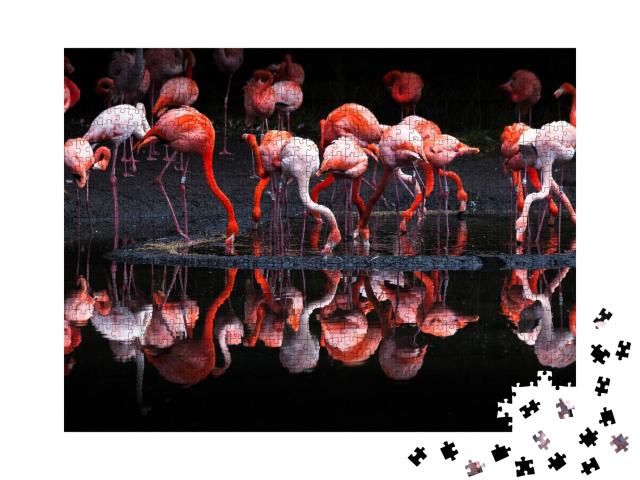 Puzzle de 1000 pièces « Groupe de flamants roses lumineux »