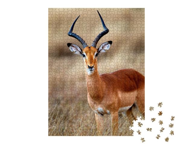 Puzzle de 1000 pièces « Un impala mâle dans le parc national Kruger en Afrique du Sud »