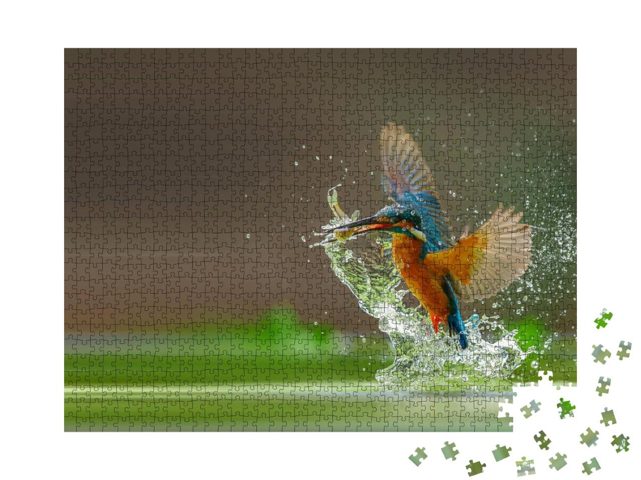 Puzzle de 1000 pièces « Un martin-pêcheur attrape un poisson dans l'eau »