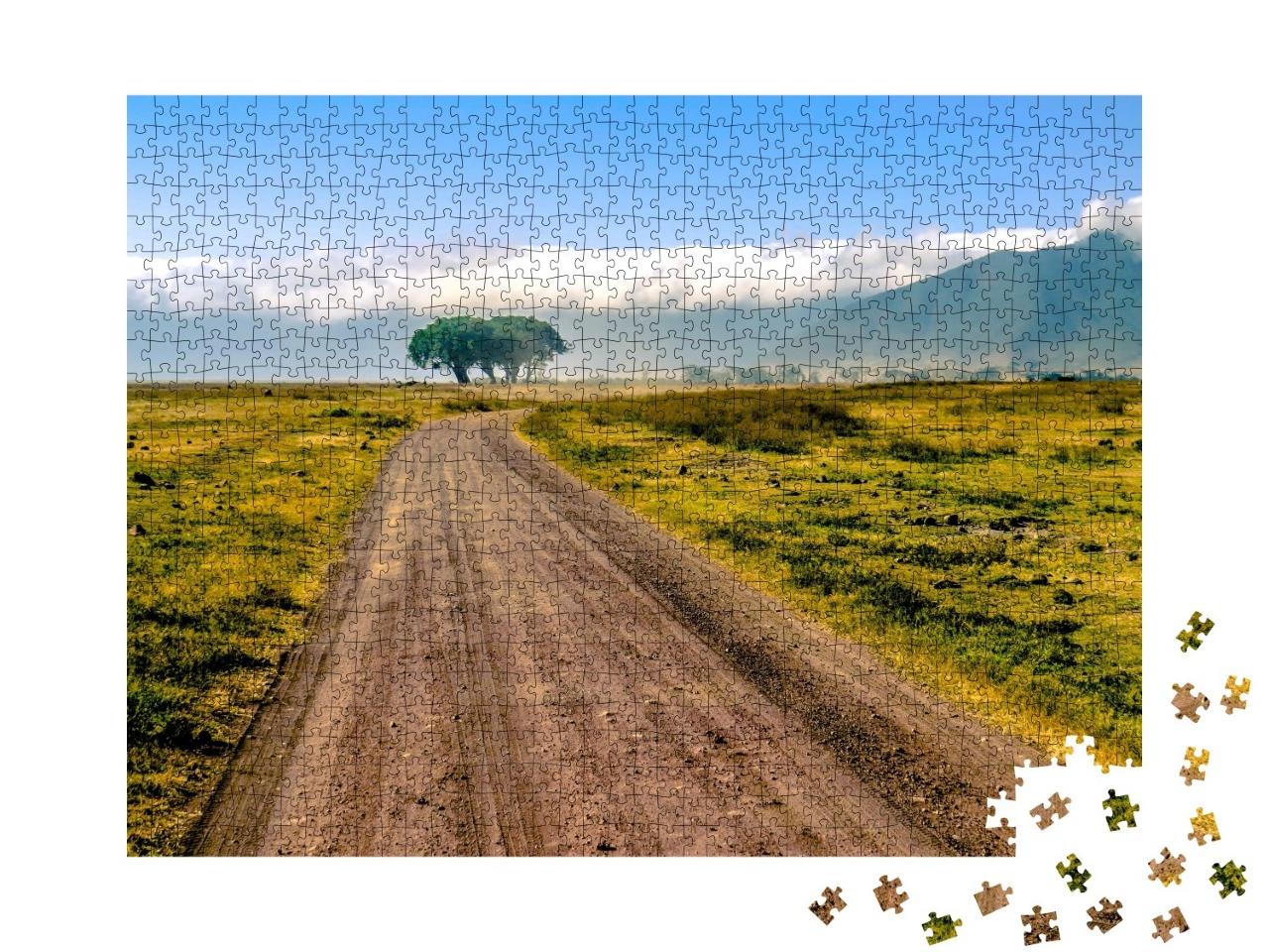 Puzzle de 1000 pièces « Tanzanie, Afrique »