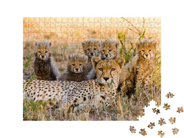 Puzzle de 500 pièces « Une mère guépard et ses petits dans la savane, Kenya »