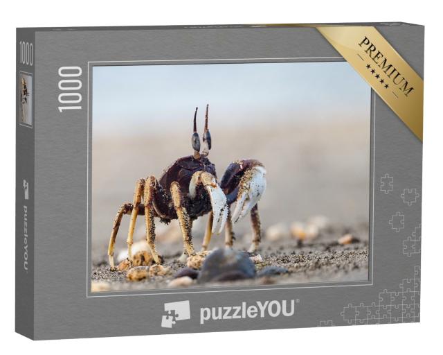 Puzzle de 1000 pièces « Un crabe curieux sur une plage de sable fin »