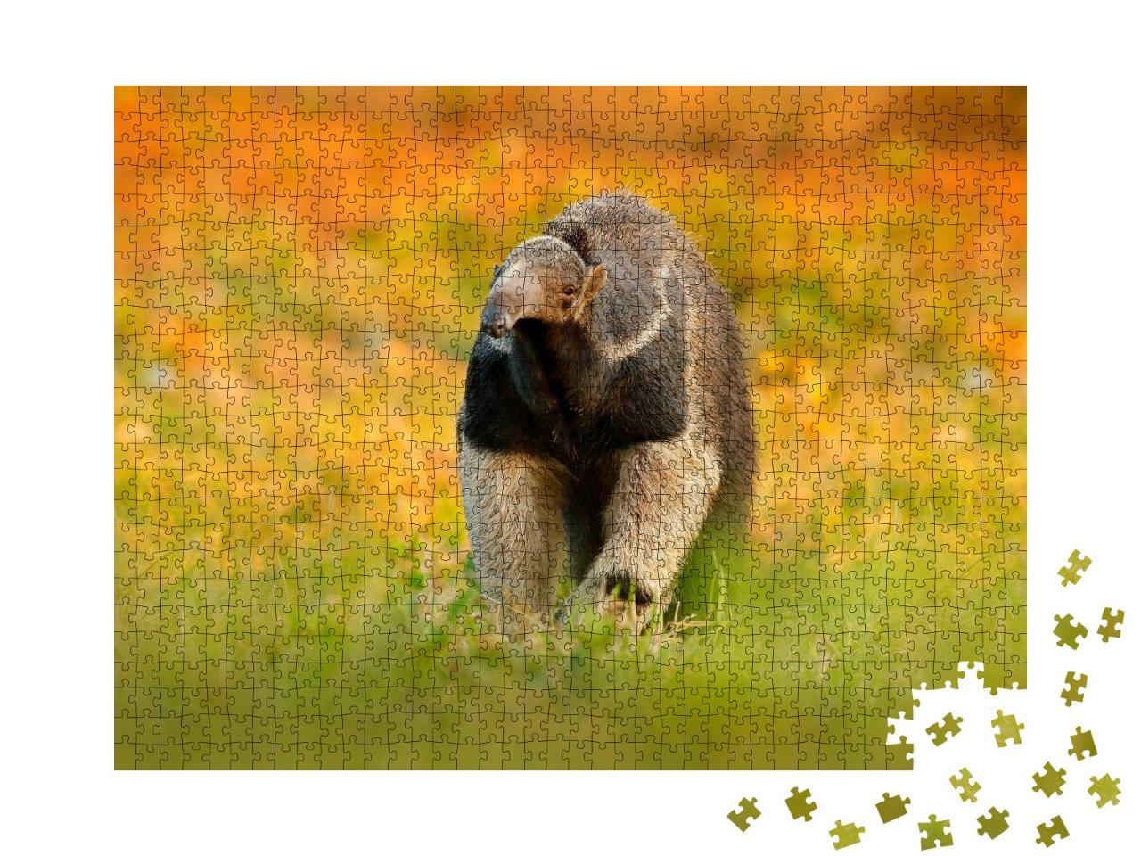 Puzzle de 1000 pièces « Le fourmilier, un animal du Brésil »