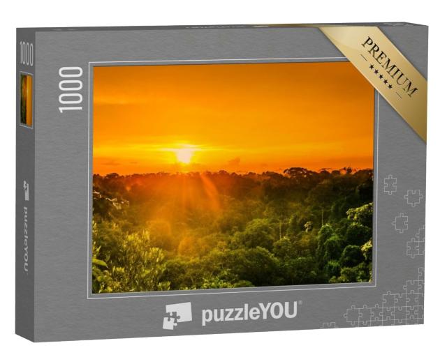 Puzzle de 1000 pièces « Vue du coucher de soleil sur la forêt tropicale au Brésil »