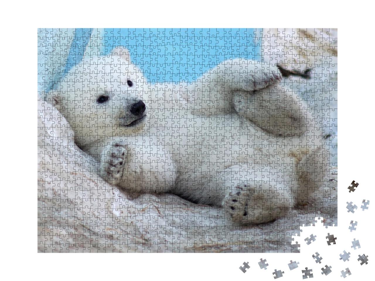 Puzzle de 1000 pièces « Un ourson polaire est couché sur le dos dans la neige »
