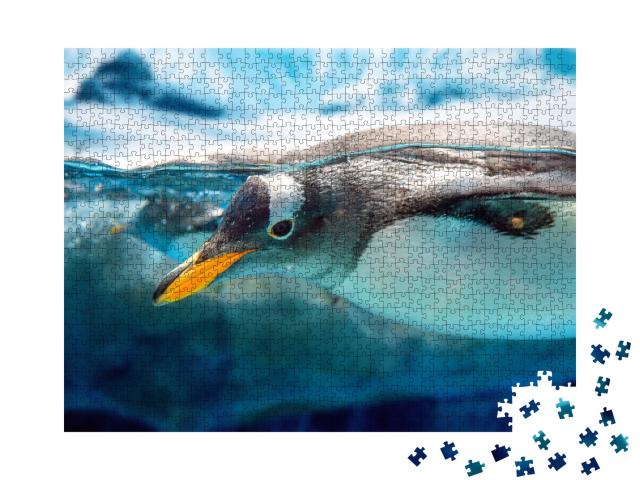 Puzzle de 1000 pièces « Pingouin nageur »