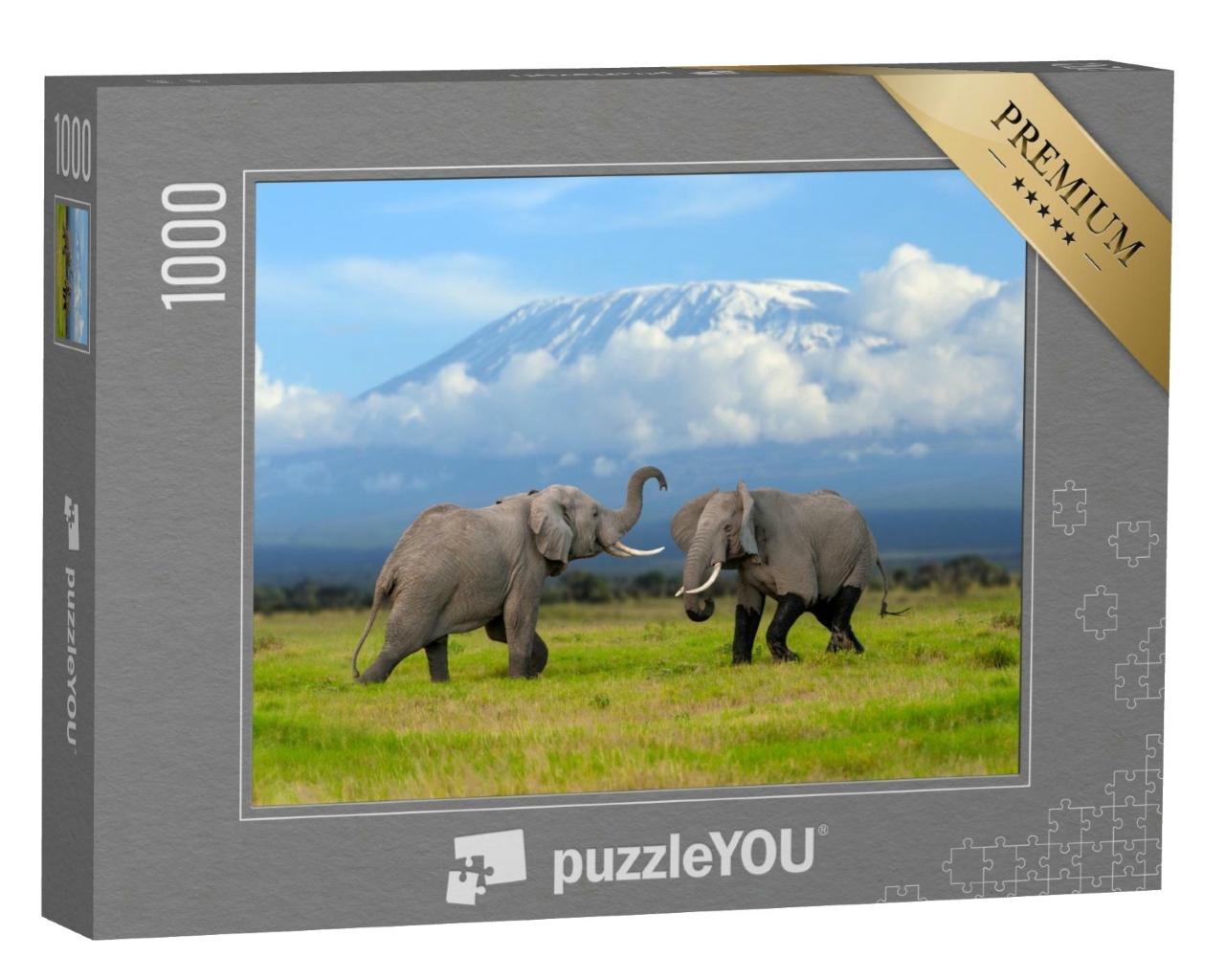 Puzzle de 1000 pièces « Eléphant devant le Kilimandjaro enneigé »