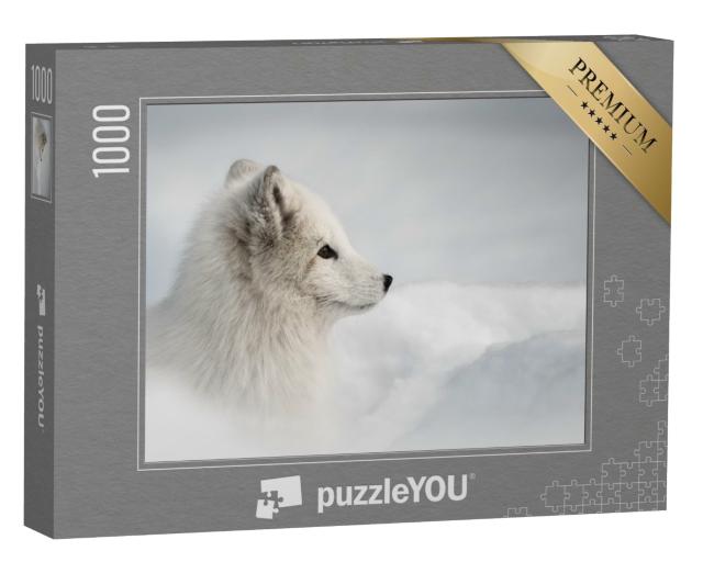 Puzzle de 1000 pièces « Une femelle renard arctique s'aventure hors de sa grotte de neige »