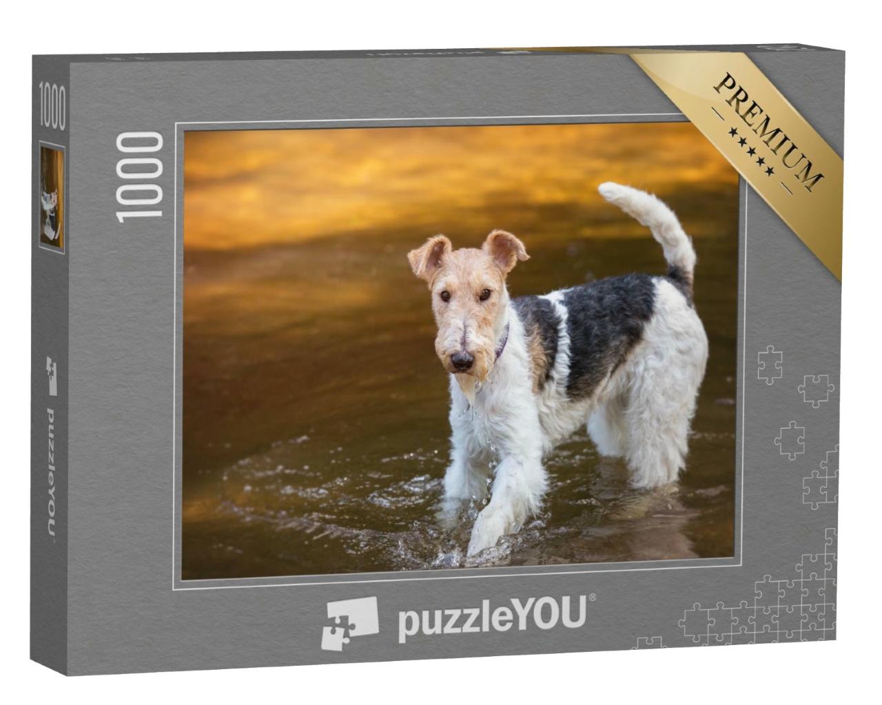 Puzzle de 1000 pièces « Fox-terrier à poil dur jouant dans l'eau »