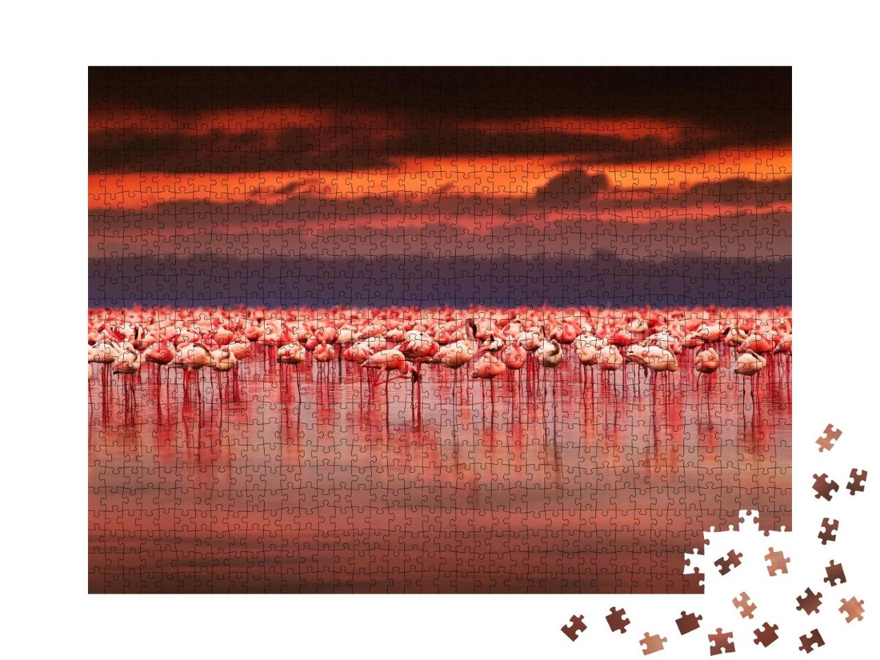 Puzzle de 1000 pièces « Spectaculaire coucher de soleil sur un groupe de flamants roses, Kenya »